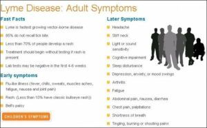 Adult Symptoms