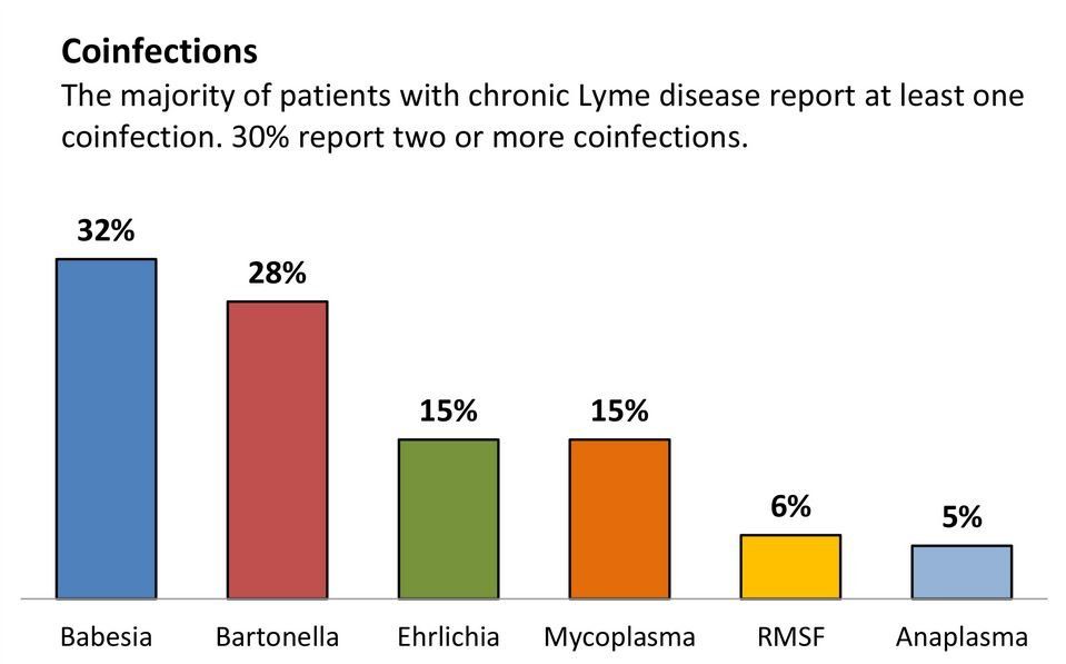 co-infections-lyme-disease