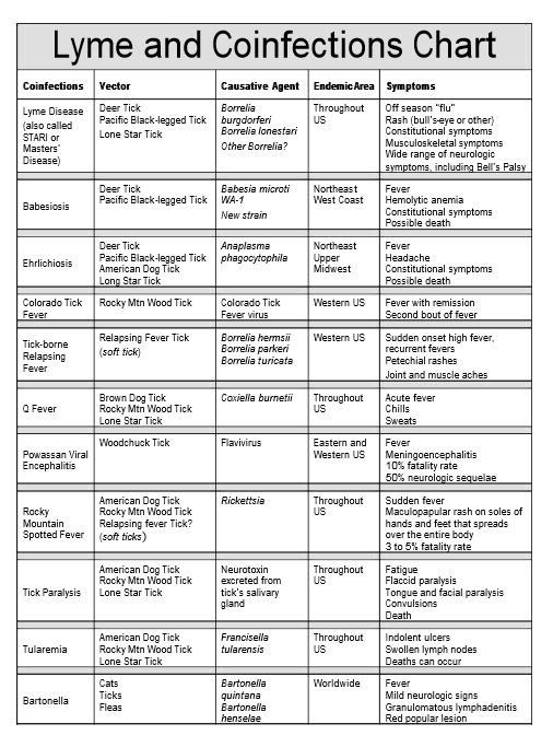 lyme-disease-co-infections